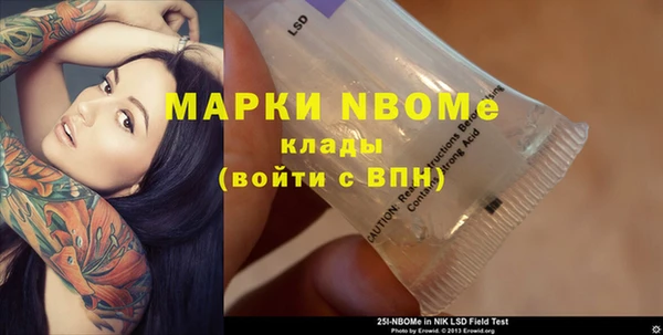 стаф Богданович