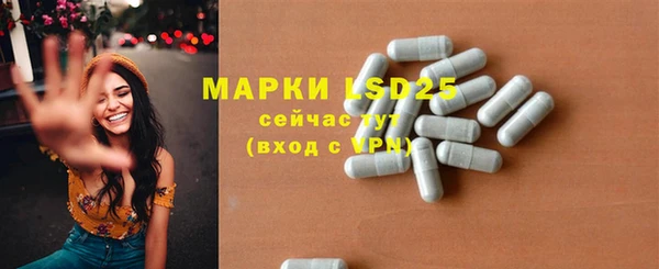 стаф Богданович
