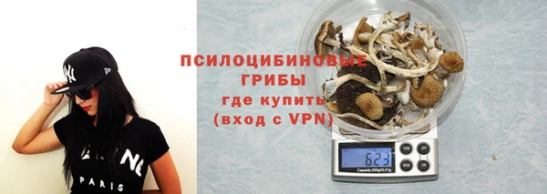 a pvp Богородицк