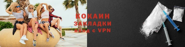 стаф Богданович
