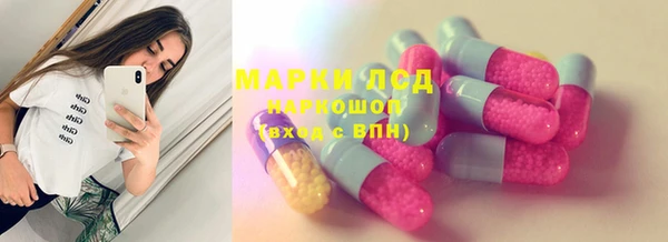 гашик Богородск