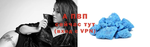 стаф Богданович