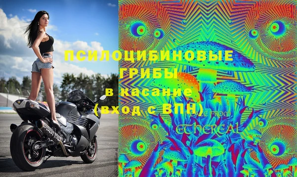 гидра Бугульма