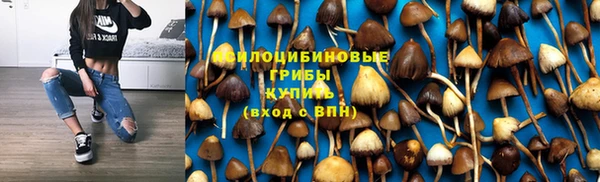 хмурый Бородино