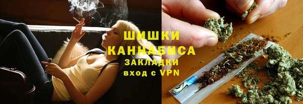 хмурый Бородино